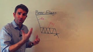 How to Trade a Bearish Flag Pattern like a Pro 👍 [upl. by Wera]