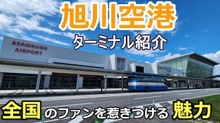 【旭川空港】全国から航空ファンが撮影に訪れる空港 [upl. by Divadleahcim]