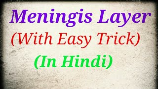 Meninges and CSF l  in hindi by Aavedicgyankd [upl. by Odell85]