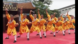 Shaolin Kungfu Masters [upl. by Juliette]