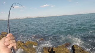 Flounder Fishing New England  August Road Trip [upl. by Bonny]