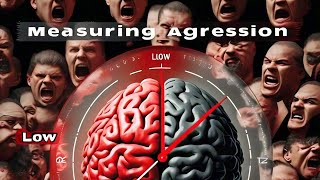 Aggression Scale by Km Roma Pal amp Mrs Tasneem Naqvi [upl. by Goldwin]