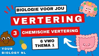 6 vwo  Vertering  3  Chemische vertering [upl. by Annet]