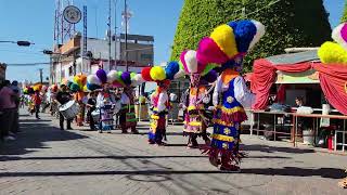 Danza De Los Matlachines De Romita Guanajuato [upl. by Treacy788]