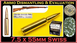 75x55mm Swiss Sellier amp Bellot 174gr FMJ  V342512  SB7555A Ammo Dismantling amp Evaluation [upl. by Filippa]