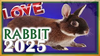 Rabbit Horoscope 2025  Love  Born 2023 2011 1999 1987 1975 1963 1951 1939 [upl. by Ettenhoj]