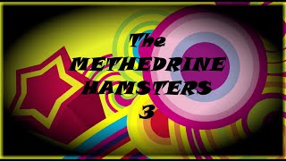 The Methedrine Hamsters live stream 3 [upl. by Daub487]