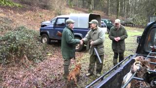 Pheasant and partridge shooting Game Over [upl. by Raffo30]