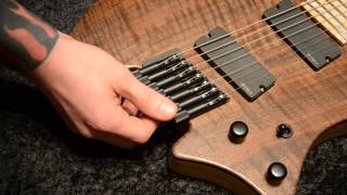 strandberg Boden Series Instrument Setup amp Maintenance Video [upl. by Sankey]