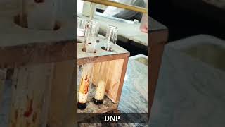 Lab experiment 🧪 experiment chemistry [upl. by Haliak]