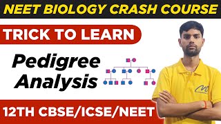 NEET Biology  Trick to learn Pedigree Analysis  Class 12th Biology  NEET 2024  By Rudra Sir [upl. by Aneehsit218]