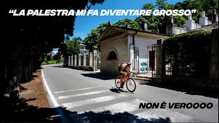 Rispondo alle domande su Forza e Palestra🏋🏻‍♂️  video 1 [upl. by Laverne]