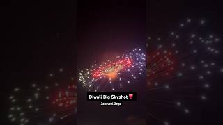 Diwali Crazy Experiment viralvideo fireworks crackerstesting diwalicelebration experiment [upl. by Brandi]