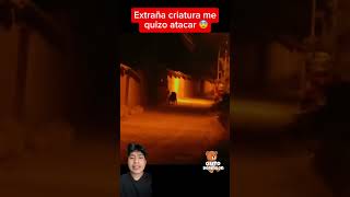 Que rayos fue eso 😨 miedo paranormal terrors amazing [upl. by Katharyn]