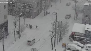 Heavy snowfall in Sapporo lofi radio 12 hours  January 7 2024 [upl. by Loftis]