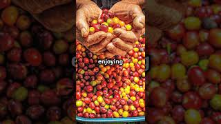 Coffee Beans Arent Beans viral trending interstingfacts facts trending viralvideos shorts [upl. by Delcine]