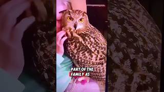 This orphaned owl was rescued by a kind man who raised it until it recovered rescue owl [upl. by Reiser545]