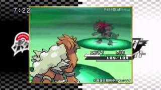 Pokemon Black and White Event Gameplay Entei Vs Zoroark [upl. by Anazraf]