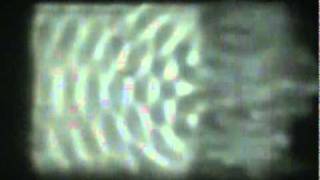 Light Wave Diffractionmp4 [upl. by Nyltak]