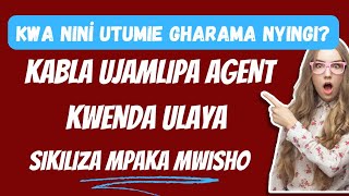 Visa Za kwenda Ulayaili Usitumie Gharama Kubwa Kusafiri Fanya hivi [upl. by Wendolyn]