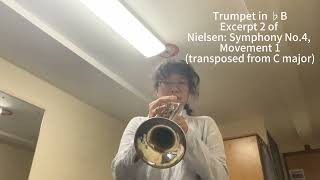 Excerpt 2 of Nielsen Symphony No4—Siru Chen [upl. by Homer]