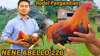 The Home of Possum 226 Nene Abello 226 Sweater  DoubleR Farm Rodel Pangandian [upl. by Ahsiled]