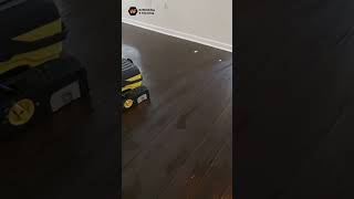 ✅ Cleaning amp Buffer  Engineered Wood Floor  Berkeley Heights NJ [upl. by Weatherley]