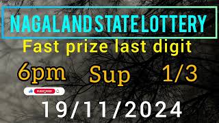 First Prize Last Digit 191124 Nagaland State Lottery Target Number Lottery Sambad Target Number🎯😊💗 [upl. by Bullen935]