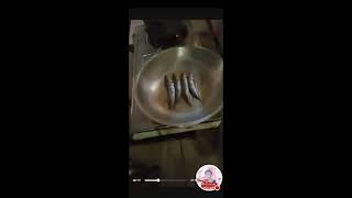 Benjamin Rubin official is live Lets cook smoke fish asmr satisfying smokefish [upl. by Nikal298]