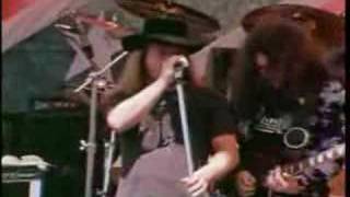 Lynyrd Skynyrd  Free Bird Live [upl. by Aifos553]