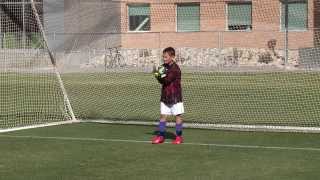 Goalkeeping Drills for the Beginner 12 [upl. by Nospmas]