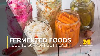 Foods to Support Gut Health Series Fermented Foods [upl. by Wilburt353]