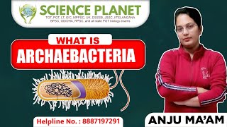 What is ARCHAEBACTERIA by Anju Mam Science Planet Biology archaebacteria [upl. by Melcher653]