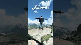 JASUS KING in KASHMIR ytshorts viral trending [upl. by Latham]