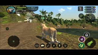 The Tiger Simulator Gameplay  Killed 40 Animals Level 6 1 [upl. by Ardnahc887]