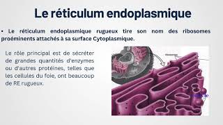 Cours de Biologie Cellulaire Introduction à la cellule [upl. by Denys481]