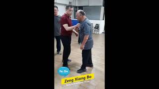 Kung Fu Push Hands Fa Jinby Sifu Zeng Xiang Bo [upl. by Jules]