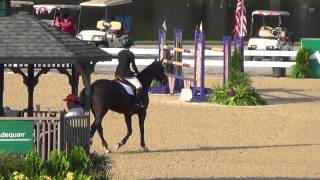 Jordyn Rose Freedman amp Feeling NAJYRC Jumping 2015 [upl. by Ereveneug]