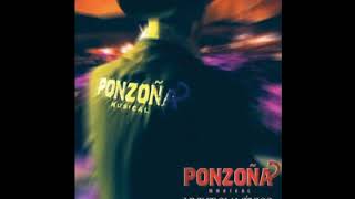 Ponzoña Musical Live From Mexico [upl. by Gerek]