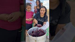 Açaí encofeitado😅 parte 03 video viralvideo youtubeshorts shorts short funny shortvideo [upl. by Vary]