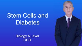 A Level Biology Revision Year 13 quotStem Cells and Diabetesquot [upl. by Lokcin]