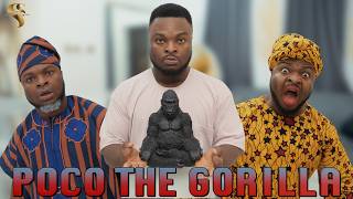 AFRICAN HOME POCO THE GORILLA [upl. by Denzil]