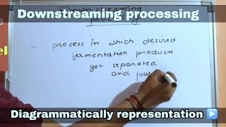 Downstream processing in hindi ll biology ll [upl. by Brittan]