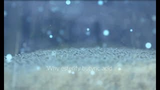 Why esterify butyric acid [upl. by Aikmat195]