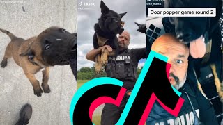 The Best K9 Police Dog TikTok Compilation  Dogs Of TikTok [upl. by Mudenihc980]