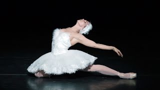 The Dying Swan – Natalia Osipova The Royal Ballet [upl. by Gretna161]