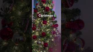 christmas chrismastree ideas idea canada alliwantforchristmasisyou christmas christmassongs [upl. by Adnuhsor]