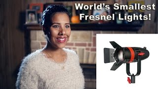 3Point Interview Setup with Boltzen Lights Smallest LED Fresnel [upl. by Ennayk]