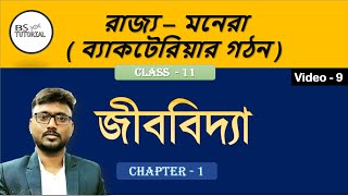 Kingdom Monera  Biological Classification Structure of Bacteria  Class 11 BiologyNEET in Bengali [upl. by Botti]