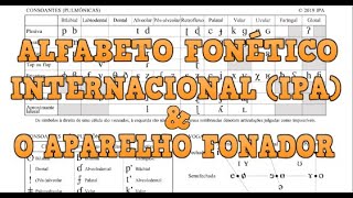 Alfabeto Fonético Internacional IPA  Abordagem Anatômica Linguística [upl. by Ailaza]